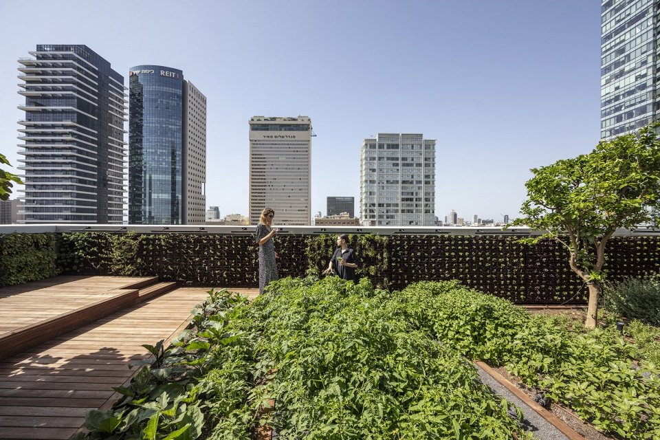 特拉维夫国家创业中心的以色列烹饪学院,以色列 / Kimmel Eshkolot Architects 特拉维夫国家创业中心的以色列烹饪学院,以色列 / Kimmel Eshkolot Architects