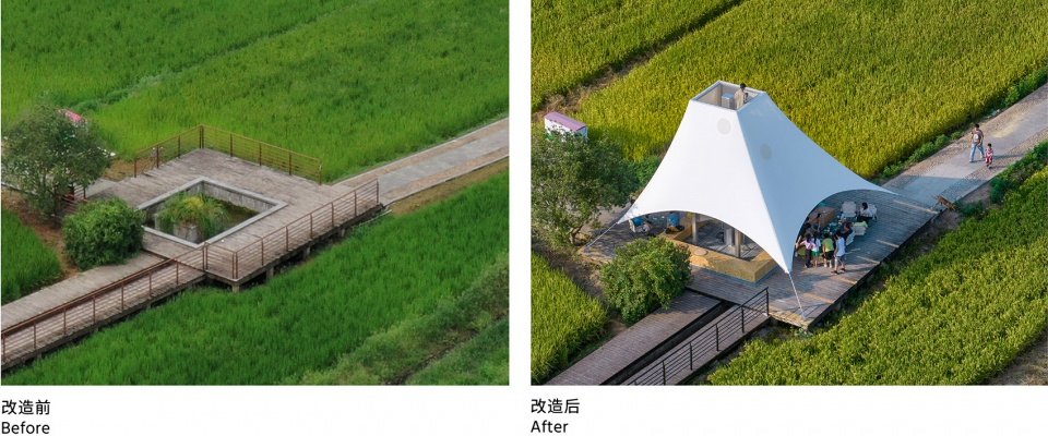 稻田塔亭，浙江桐庐 / 跳房子建筑工作室