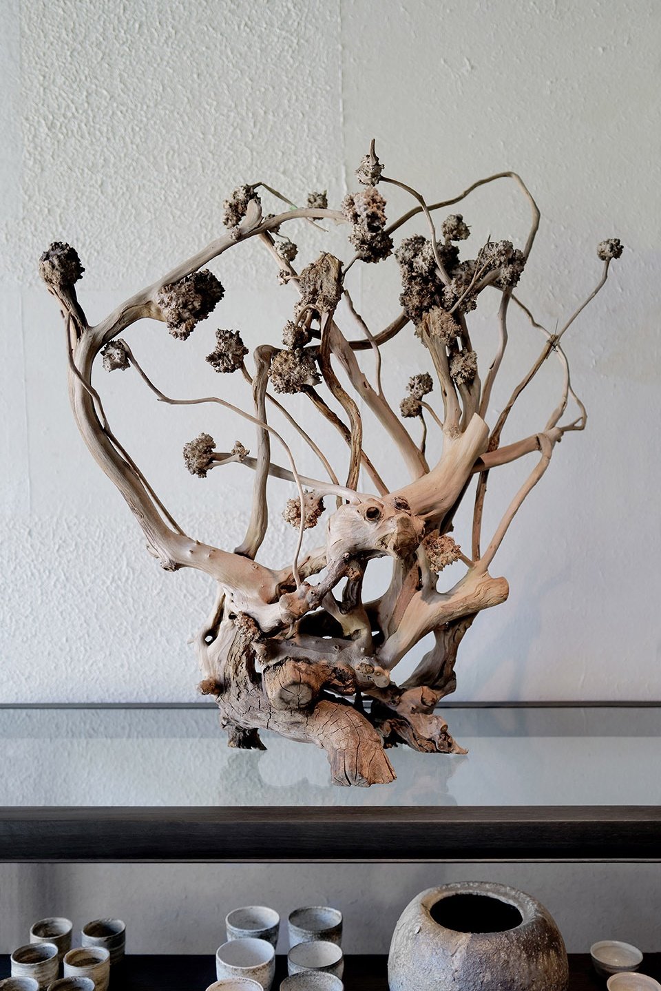 京都 NOMA 餐厅，日本 / OEO STUDIO