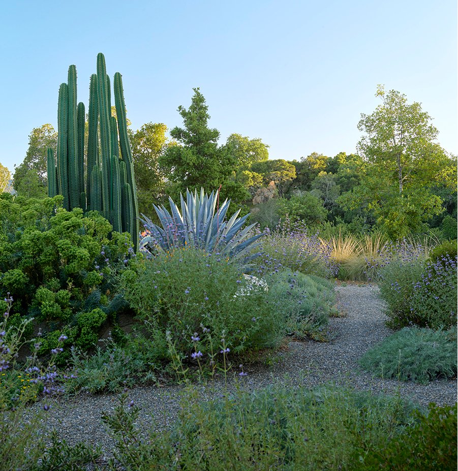 2022 ASLA 住宅设计类荣誉奖：海岸岭住宅，美国加州 / Scott Lewis Landscape Architecture