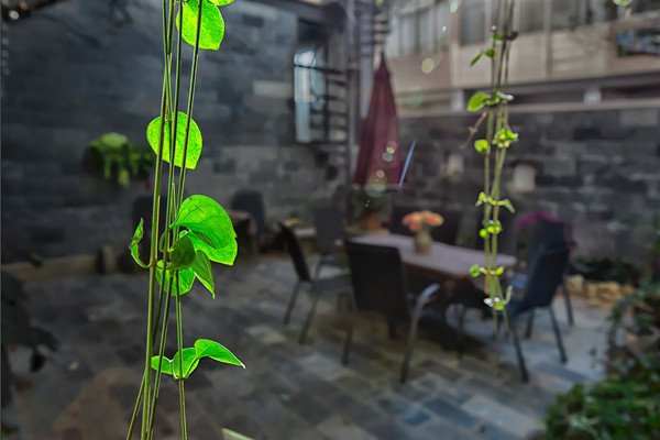 民宿的三大境界:宿身、宿心和宿神 民宿的三大境界:宿身、宿心和宿神