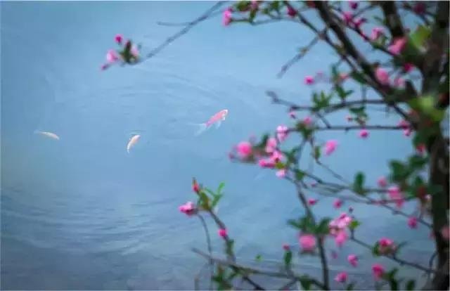 苏州太湖西山岛上一处禅意茶文化民宿,静品山居慢生活 苏州太湖西山岛上一处禅意茶文化民宿,静品山居慢生活