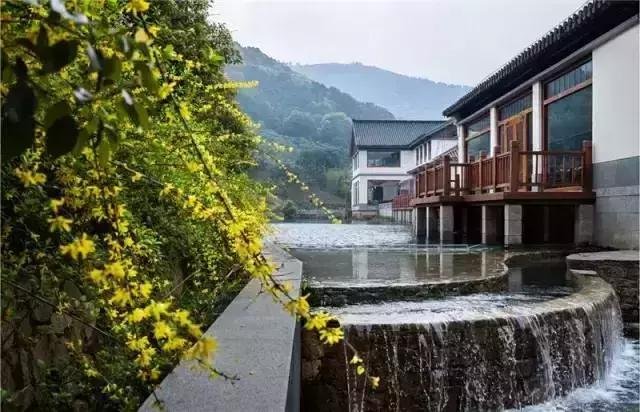 苏州太湖西山岛上一处禅意茶文化民宿,静品山居慢生活 苏州太湖西山岛上一处禅意茶文化民宿,静品山居慢生活