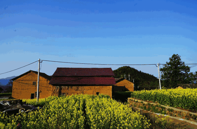 祖传的宅院改造成民宿，让“空心村”复苏！