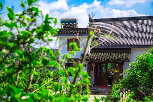 慢下来去生活,一壶茶、一晃神、一阵雨 慢下来去生活,一壶茶、一晃神、一阵雨