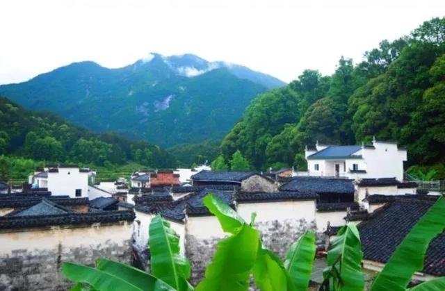 “半乡居·誉流惇史”老建筑新活力