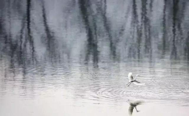 丽水古堰画乡非凡民宿,重返记忆里的故乡 丽水古堰画乡非凡民宿,重返记忆里的故乡