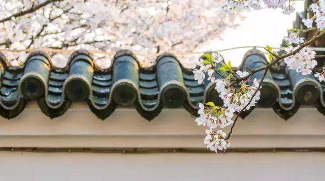 民宿的乱象，该如何拯救你？