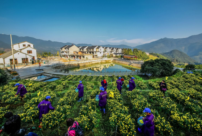 乡村振兴战略中，如何让民宿借大势？