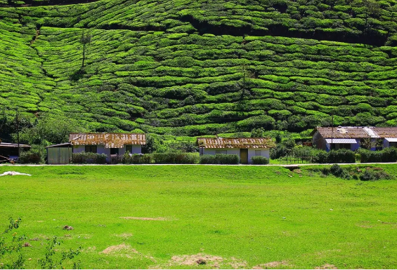 民宿（集群）经济带动乡村振兴