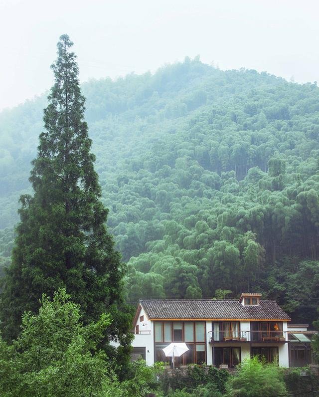 引自《山海经》里的一个传说 -- 大乐之野 引自《山海经》里的一个传说 -- 大乐之野