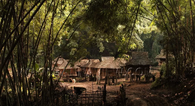 让建筑回归自然,他做的竹子建筑,获得 30 多项国际大奖! 让建筑回归自然,他做的竹子建筑,获得 30 多项国际大奖!