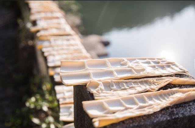 【向往的生活】在千岛湖,推窗只见满山苍翠 【向往的生活】在千岛湖,推窗只见满山苍翠