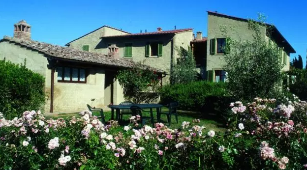 民宿经济带动乡村发展，乡村旅游成为一大亮点！