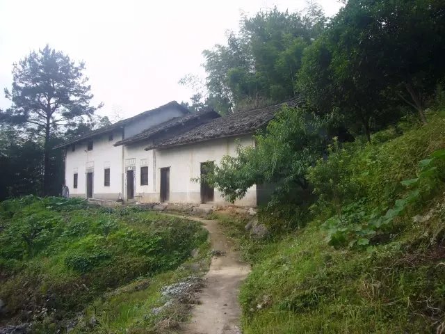 他隐居千岛湖,在 3000 亩桃源改造老房终圆田园梦 他隐居千岛湖,在 3000 亩桃源改造老房终圆田园梦