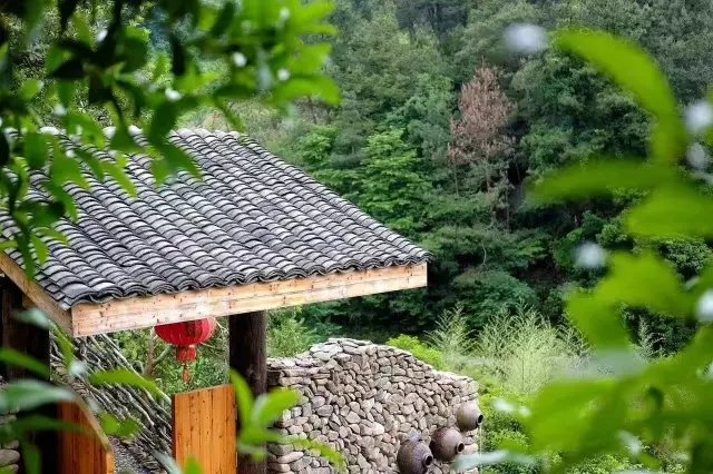 他隐居千岛湖,在 3000 亩桃源改造老房终圆田园梦 他隐居千岛湖,在 3000 亩桃源改造老房终圆田园梦