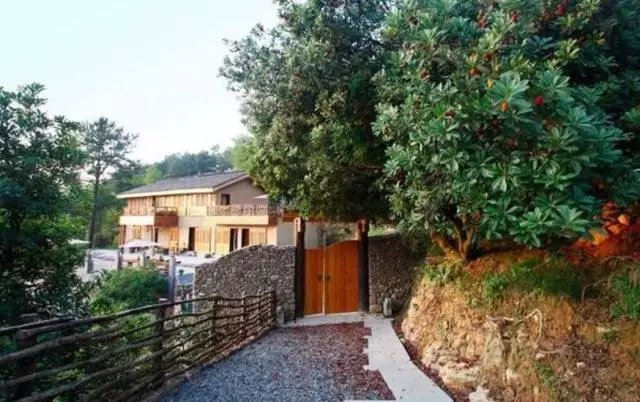 他隐居千岛湖,在 3000 亩桃源改造老房终圆田园梦 他隐居千岛湖,在 3000 亩桃源改造老房终圆田园梦