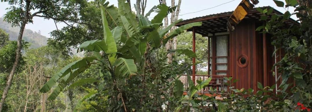 印度喀拉拉邦的木屋，跟中国民宿有何不同？