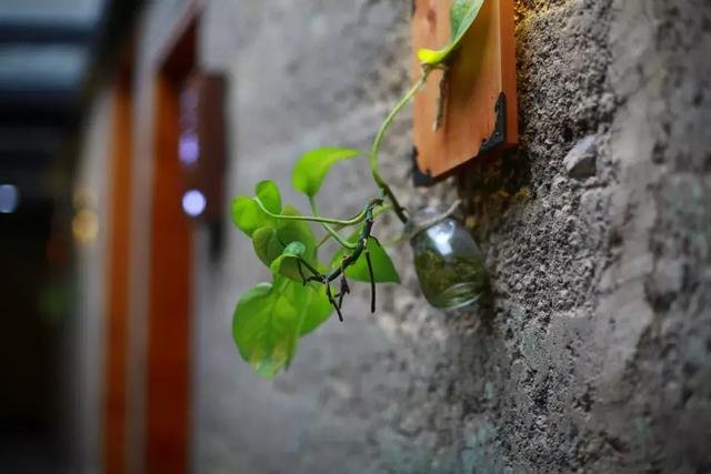 感受浙江民宿的独到态度,一屋一艺术 感受浙江民宿的独到态度,一屋一艺术