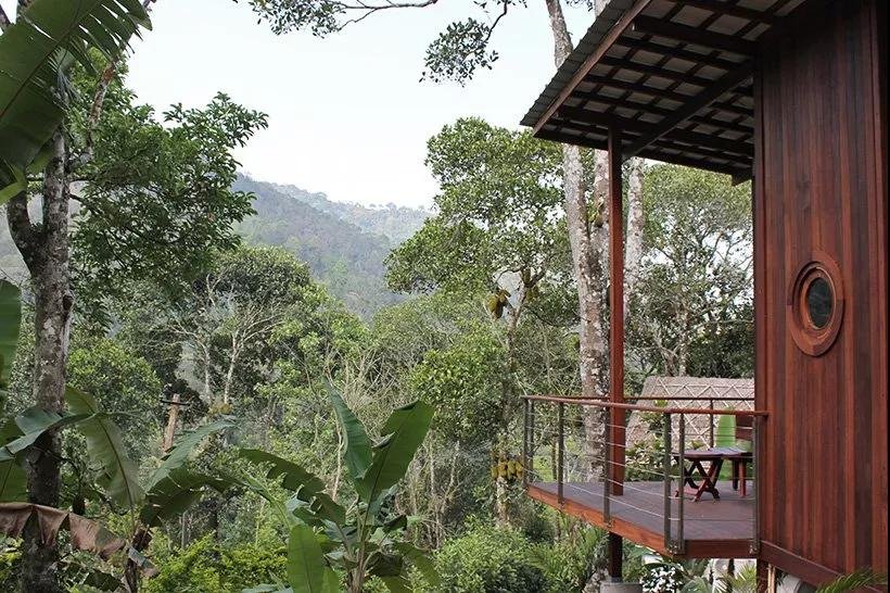 印度喀拉拉邦的木屋，跟中国民宿有何不同？