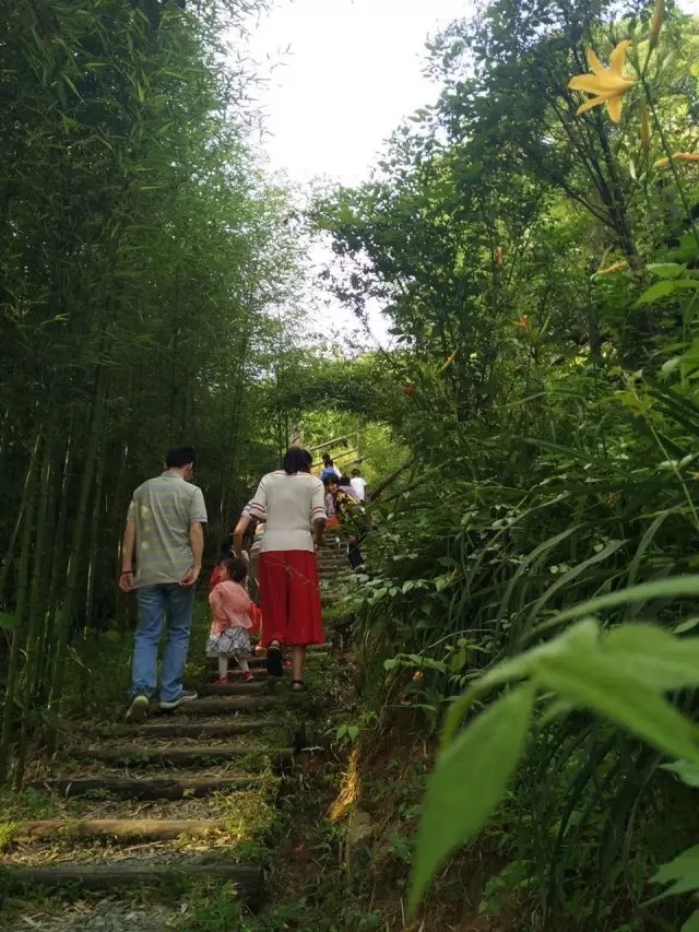 他隐居千岛湖,在 3000 亩桃源改造老房终圆田园梦 他隐居千岛湖,在 3000 亩桃源改造老房终圆田园梦