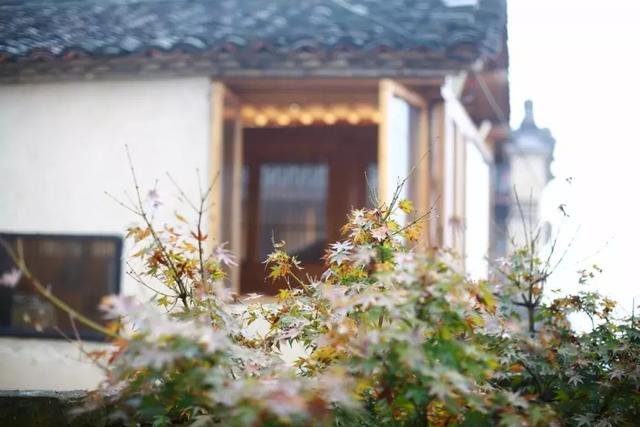 感受浙江民宿的独到态度,一屋一艺术 感受浙江民宿的独到态度,一屋一艺术