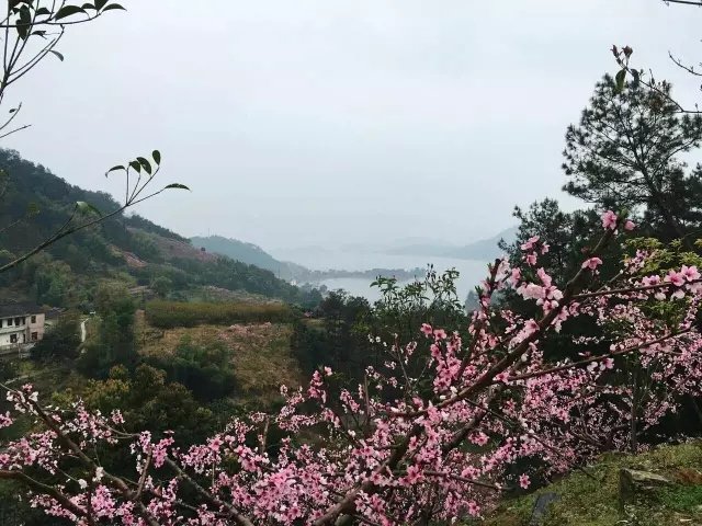 他隐居千岛湖,在 3000 亩桃源改造老房终圆田园梦 他隐居千岛湖,在 3000 亩桃源改造老房终圆田园梦