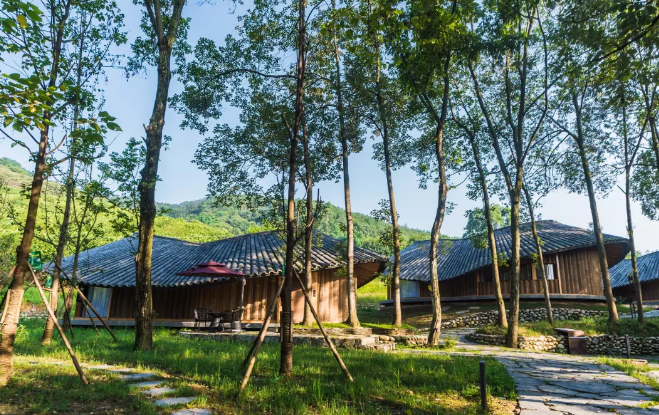 一个民宿建筑，竟带火了一个没落村落！