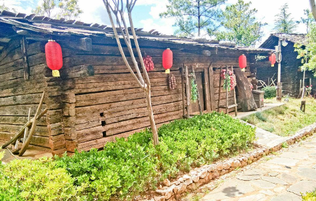 真正的乡村民宿生活?度假式深度体验游? 真正的乡村民宿生活?度假式深度体验游?