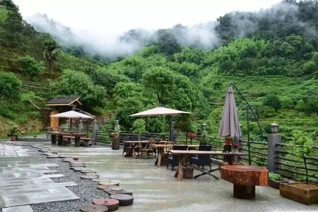 他隐居千岛湖,在 3000 亩桃源改造老房终圆田园梦 他隐居千岛湖,在 3000 亩桃源改造老房终圆田园梦