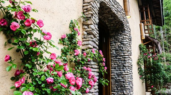 陈谷:山间旧屋改造成时尚民宿 陈谷:山间旧屋改造成时尚民宿