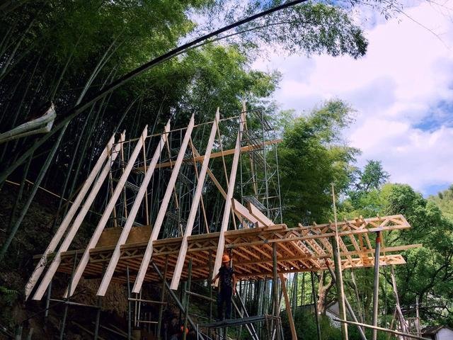 从自然中生长出的轻奢树屋,浙江树蛙为例浅析乡村低技术生态民宿 从自然中生长出的轻奢树屋,浙江树蛙为例浅析乡村低技术生态民宿