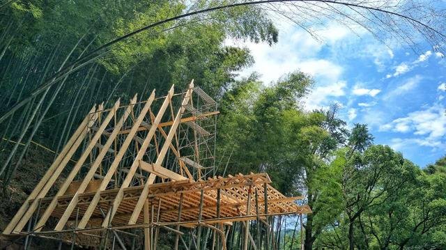 从自然中生长出的轻奢树屋,浙江树蛙为例浅析乡村低技术生态民宿 从自然中生长出的轻奢树屋,浙江树蛙为例浅析乡村低技术生态民宿