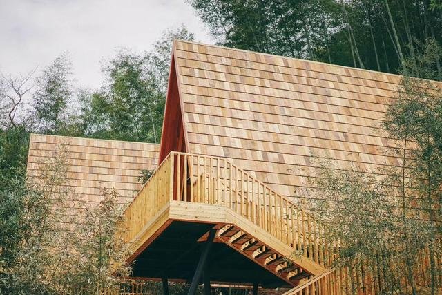 从自然中生长出的轻奢树屋,浙江树蛙为例浅析乡村低技术生态民宿 从自然中生长出的轻奢树屋,浙江树蛙为例浅析乡村低技术生态民宿