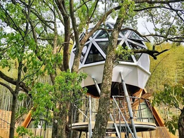 从自然中生长出的轻奢树屋,浙江树蛙为例浅析乡村低技术生态民宿 从自然中生长出的轻奢树屋,浙江树蛙为例浅析乡村低技术生态民宿