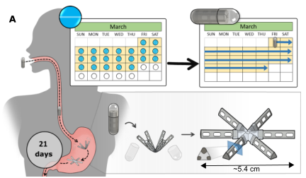 比尔盖茨赞助的女性长效避孕药研发成功 吃 1 粒管 1 个月