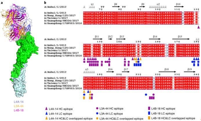 中科院高福院士课题组 2019 年发表的重要的研究成果