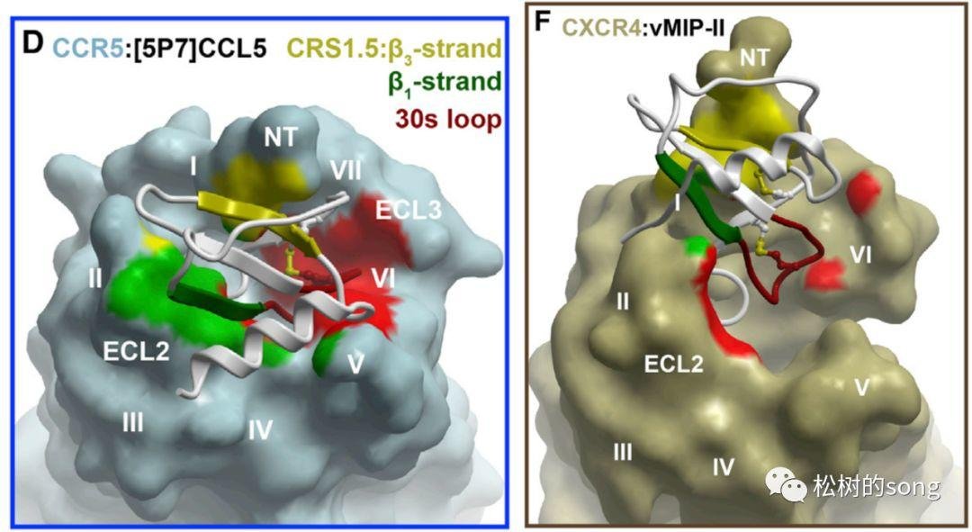 关于“饶毅教授质疑裴钢院士”