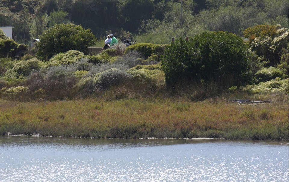 2022 ASLA 地标奖：Crissy Field 公园: 持久的转变，旧金山 / Hargreaves Jones