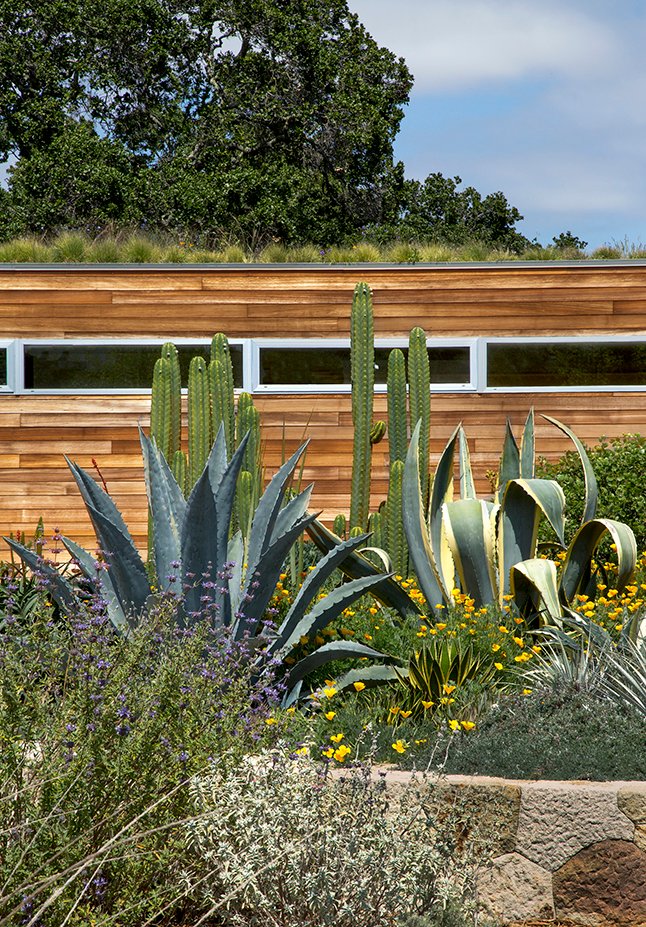 2022 ASLA 住宅设计类荣誉奖：海岸岭住宅，美国加州 / Scott Lewis Landscape Architecture
