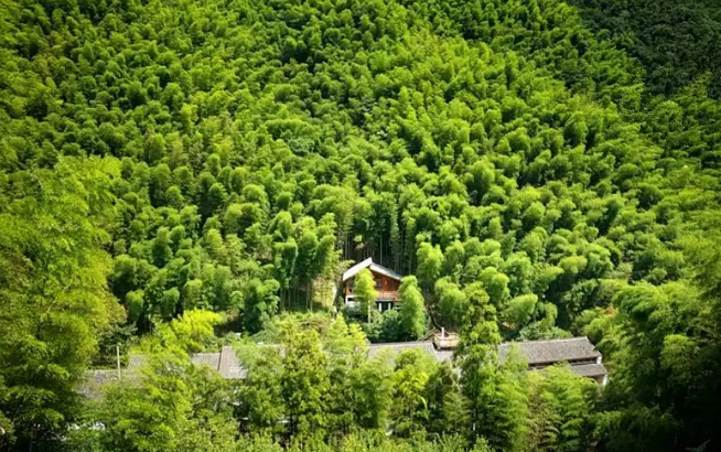 宁波世外民宿,藏着最返璞归真的隐世生活! 宁波世外民宿,藏着最返璞归真的隐世生活!