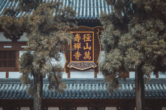 小山村变身杭州“国字号”后花园，你不来吗......