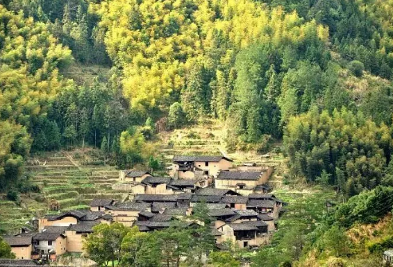 乡村旅游产业升级：民宿 + 美好生活聚落