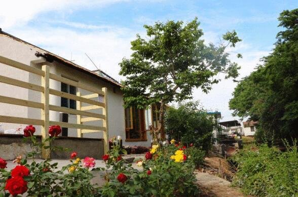 上海首个试点民宿下月底将开门迎客