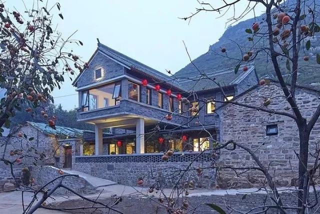 好看的皮囊与有趣的灵魂,不食人间烟火的它们 好看的皮囊与有趣的灵魂,不食人间烟火的它们