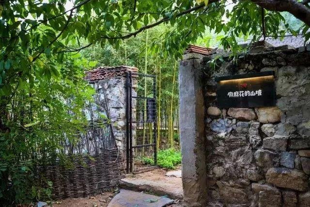 好看的皮囊与有趣的灵魂,不食人间烟火的它们 好看的皮囊与有趣的灵魂,不食人间烟火的它们