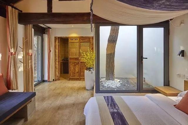 好看的皮囊与有趣的灵魂,不食人间烟火的它们 好看的皮囊与有趣的灵魂,不食人间烟火的它们