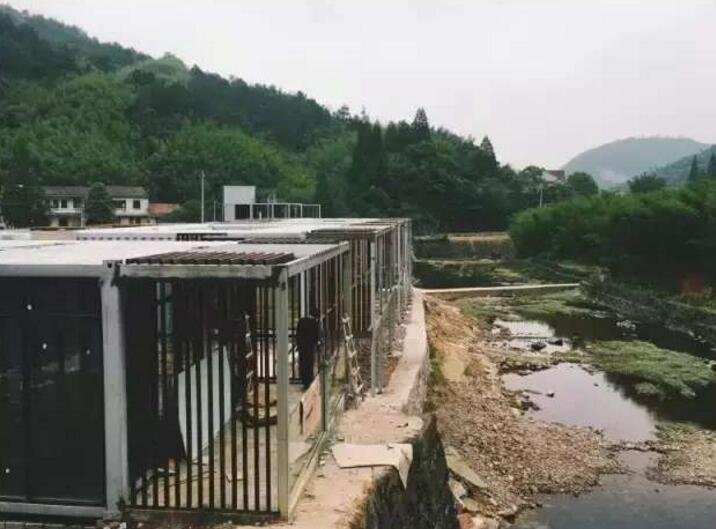 藏在山林里溪水边的集装箱民宿