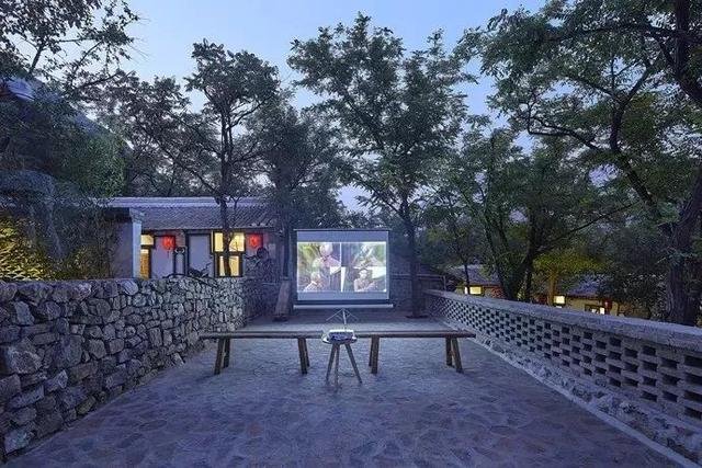 好看的皮囊与有趣的灵魂,不食人间烟火的它们 好看的皮囊与有趣的灵魂,不食人间烟火的它们