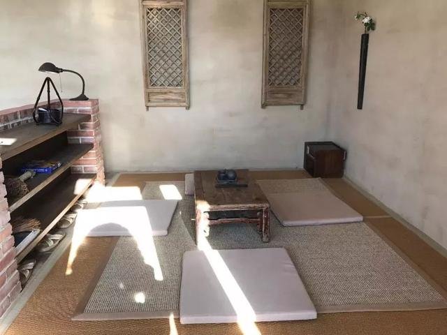 好看的皮囊与有趣的灵魂,不食人间烟火的它们 好看的皮囊与有趣的灵魂,不食人间烟火的它们